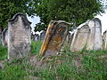 Čeština: Náhrobky na židovském hřbitově v Úsově, okres Šumperk. English: Gravestones in the Jewish cemetery in the town of Úsov, Šumperk District, Czech Republic.