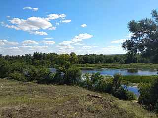 Dniprovsko-Orilskyi Nature Reserve