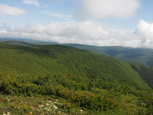 greater hinggan mountains