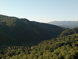 Cresta boscosa en el distrito de Urus-Martan