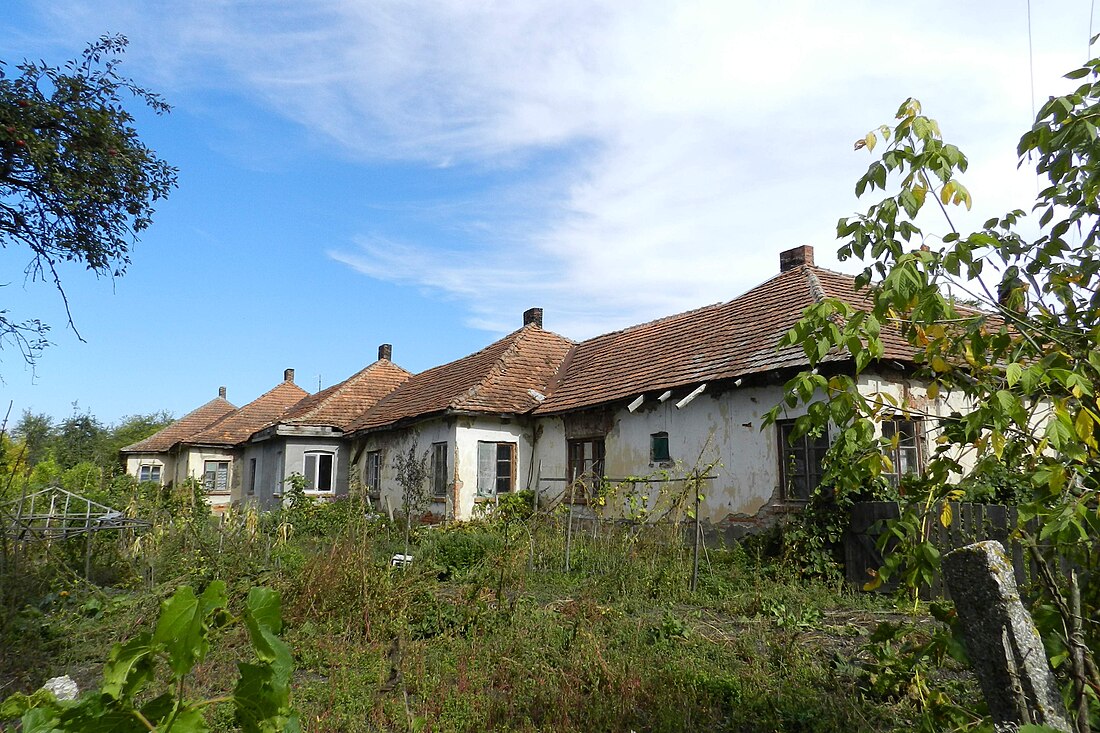 Cikoș-Horonda, Bereg