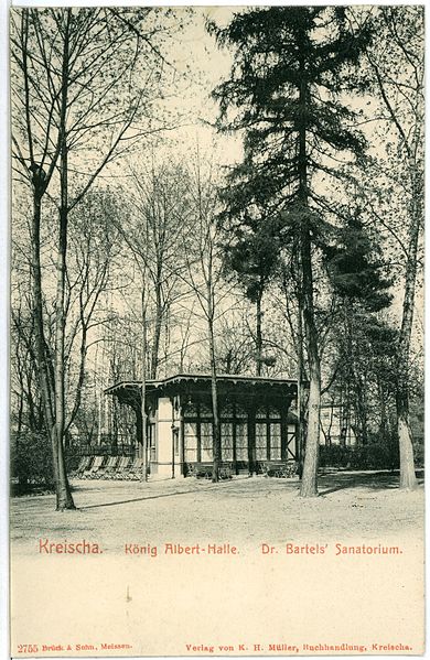 File:02755-Kreischa-1903-König-Albert-Halle, Dr. Bartels Sanatorium-Brück & Sohn Kunstverlag.jpg