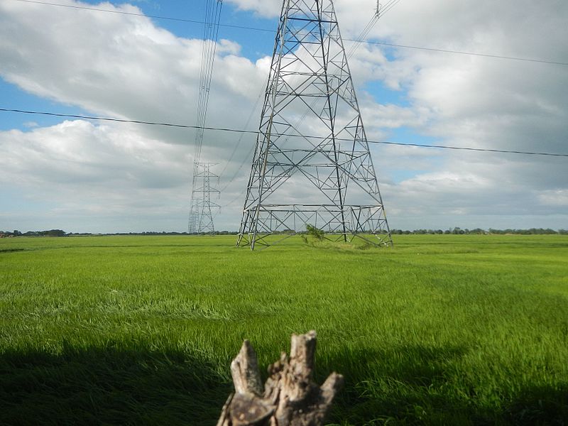 File:0281jfPaddy fields grasslands trees Bagong Silang San Miguel Bulacan Farm Market Roadfvf 20.jpg