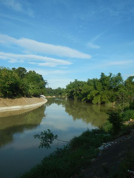 File:09409jfCattle goats grasslands Roads San Miguel, Bulacanfvf 26.jpg