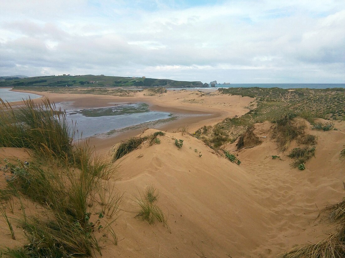 Parc Natural de les Dunes de Liendres