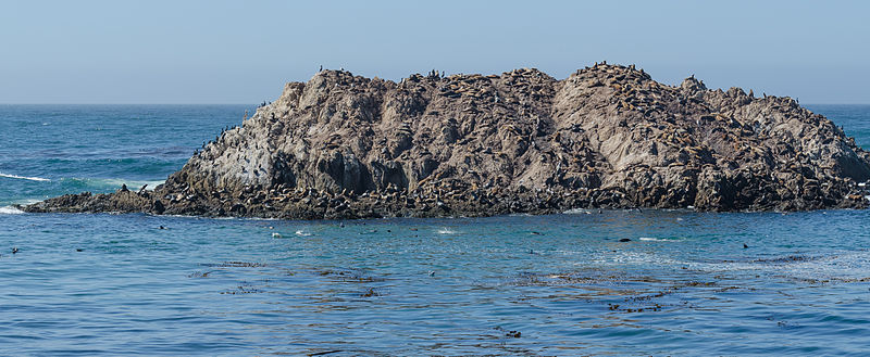 File:17-Mile Drive Bird Rock 01 2013.jpg