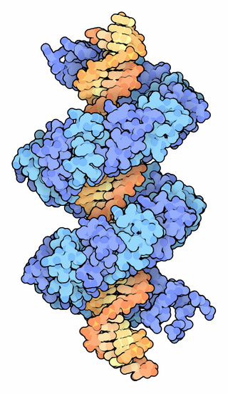 <span class="mw-page-title-main">Transcription activator-like effector</span>