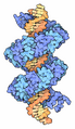 TAL effector protein bound to DNA, Goodsell MotM 180