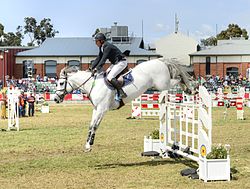 Equestrian Competition. 2013 Royal Melbourne Show (10016683783).jpg