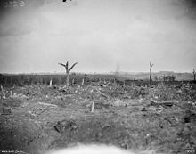 No man's land after the attack, looking towards the German front line. AWM E00820 - no mans land.jpg