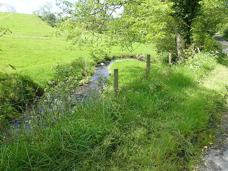 File:A meandering minor tributary of the County Water River - geograph.org.uk - 6176985.jpg