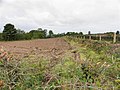 A ploughed field, Coolartragh - geograph.org.uk - 3133480.jpg