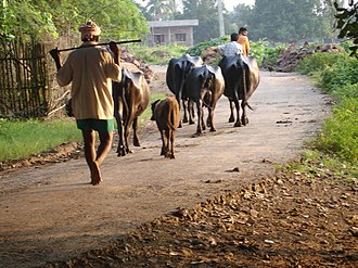 A scene in Rangapuram Khandrika A scene in Rangapuram Khandrika.jpg