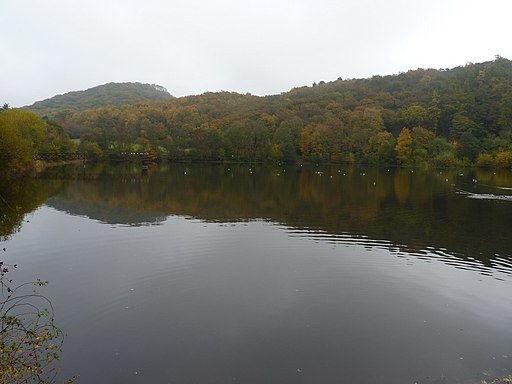 Across the reservoir towards The Ercall - geograph.org.uk - 2143134