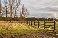 Afrastering om natuurgebied. Locatie, natuurgebied Delleboersterheide – Catspoele.