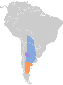 Agriornis murinus map.svg