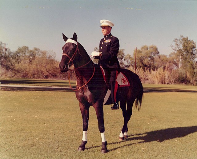 Alan Shapley, circa 1959.