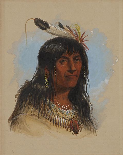 File:Alfred Jacob Miller - "Big Bowl" ( A Crow Chief) - Walters 37194015 (3).jpg