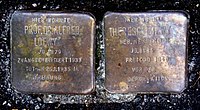 Alfred und Therese Loewy, Stolpersteine in der Freiburger Reichsgrafenstraße 14 Hier wohnte Prof. Dr. Alfred Loewy Jg. 1879 Zwangsemeritiert 1933 tot am 25.1.1935 in Freiburg Hier wohnte Therese Loewy geb. Neuberger Jg. 1884 Freitod 1940 vor der Deportation