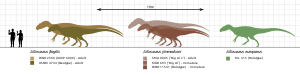 Allosaurus size comparison.svg