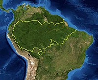 Amazon rainforest.jpg