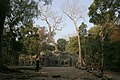 Angkor-Ta Prohm-64-2007-gje.jpg