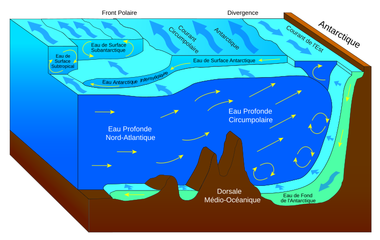 File:Antarctic bottom water fr.svg