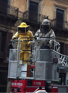 Beekeeper recover a swarm of bees in the historical center of Caltanissetta (Sicily), with cranes of the fire brigade