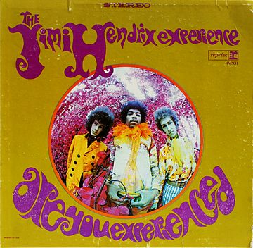 Are You Experienced