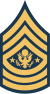 Sergeant Major of the Army (SMA)