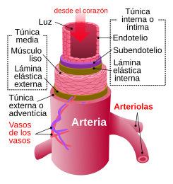 Arteria.svg