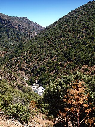 <span class="mw-page-title-main">Asco (river)</span> River in the department of Haute-Corse, Corsica