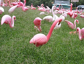 Пластиковые фламинго