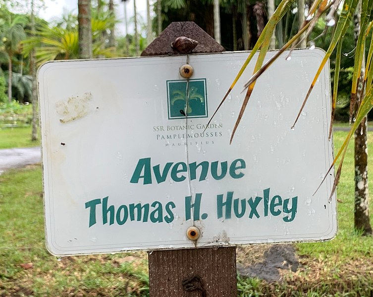 File:Avenue Thomas Henry Huxley (Sir Seewoosagur Ramgoolam Botanical Garden) - street sign.jpg
