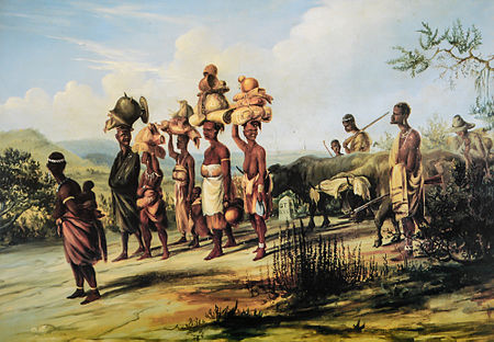 Người Xhosa
