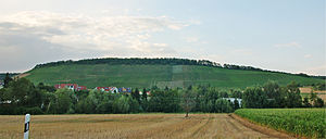 South roofing with vineyards over Horrheim