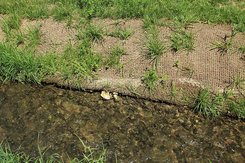 File:Bassin de la Mérantaise le 31 juillet 2015 - 09.jpg