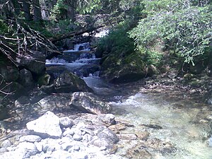 Der Batizovský potok oberhalb von Vyšné Hágy