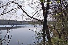 Berggeistweiher zwischen Brühl und Bornheim.