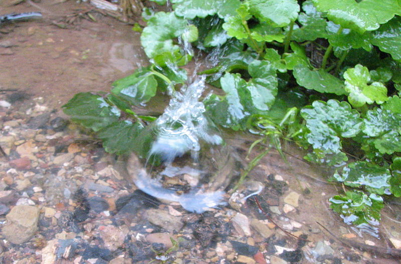 File:Big Splash (176300767).jpg