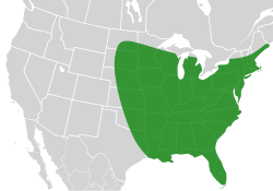 Bombus impatiens distribution.svg