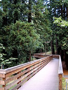 Bridge across ravine. Bridge across ravine at UCSC.jpg