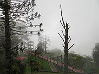 Suspension bridge and watchtower, 2012