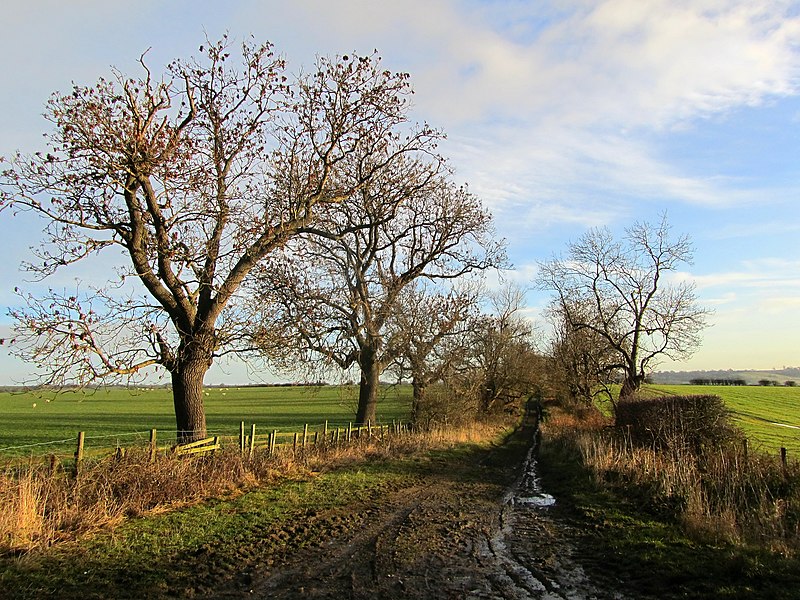 File:Bridleway on Healthwaite Hill - geograph.org.uk - 3799343.jpg