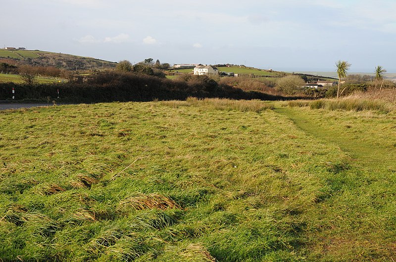 File:Broad verge near Piece - geograph.org.uk - 3804936.jpg