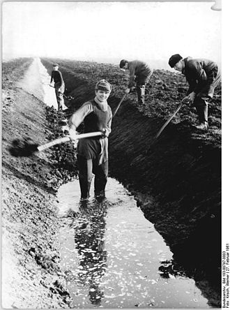 Maintenance of the ditch system of the Lewitz, youth project (1961) Bundesarchiv Bild 183-80797-0003, Anlegen eines Grabens.jpg