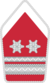 Bundesheer - darajadagi nishonlar - Oberstabswachtmeister.png