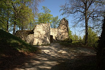 Ruinas del castillo de Leienfels