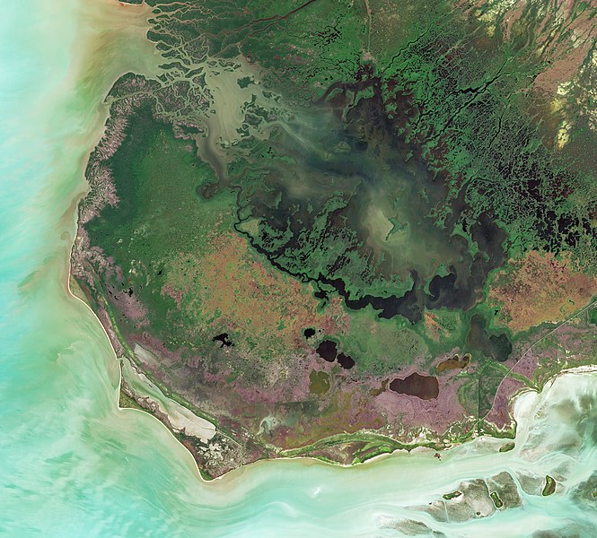 File:Cape Sable by Sentinel-2.jpg