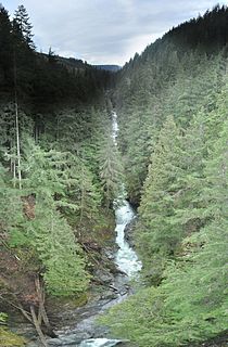 Carbon River river in the United States of America